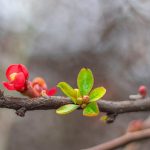 Image from Serhii Ivashchuk on Shutterstock.