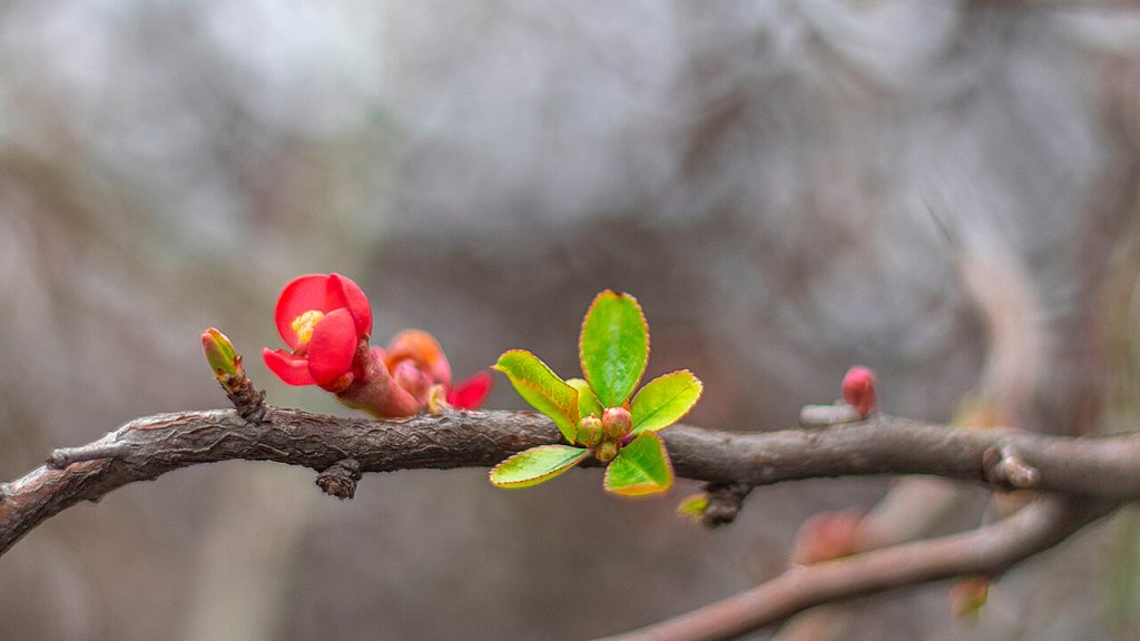 Image from Serhii Ivashchuk on Shutterstock.
