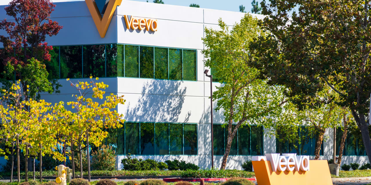 Veeva Systems stock - Veeva Systems Joins S&P 500: Software Stock in Spotlight