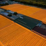 CEA farm management software - How AI Is Transforming CEA Farm Management Software