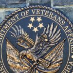 software asset management - VA Software Management Challenges Tied to CIO Vacancy