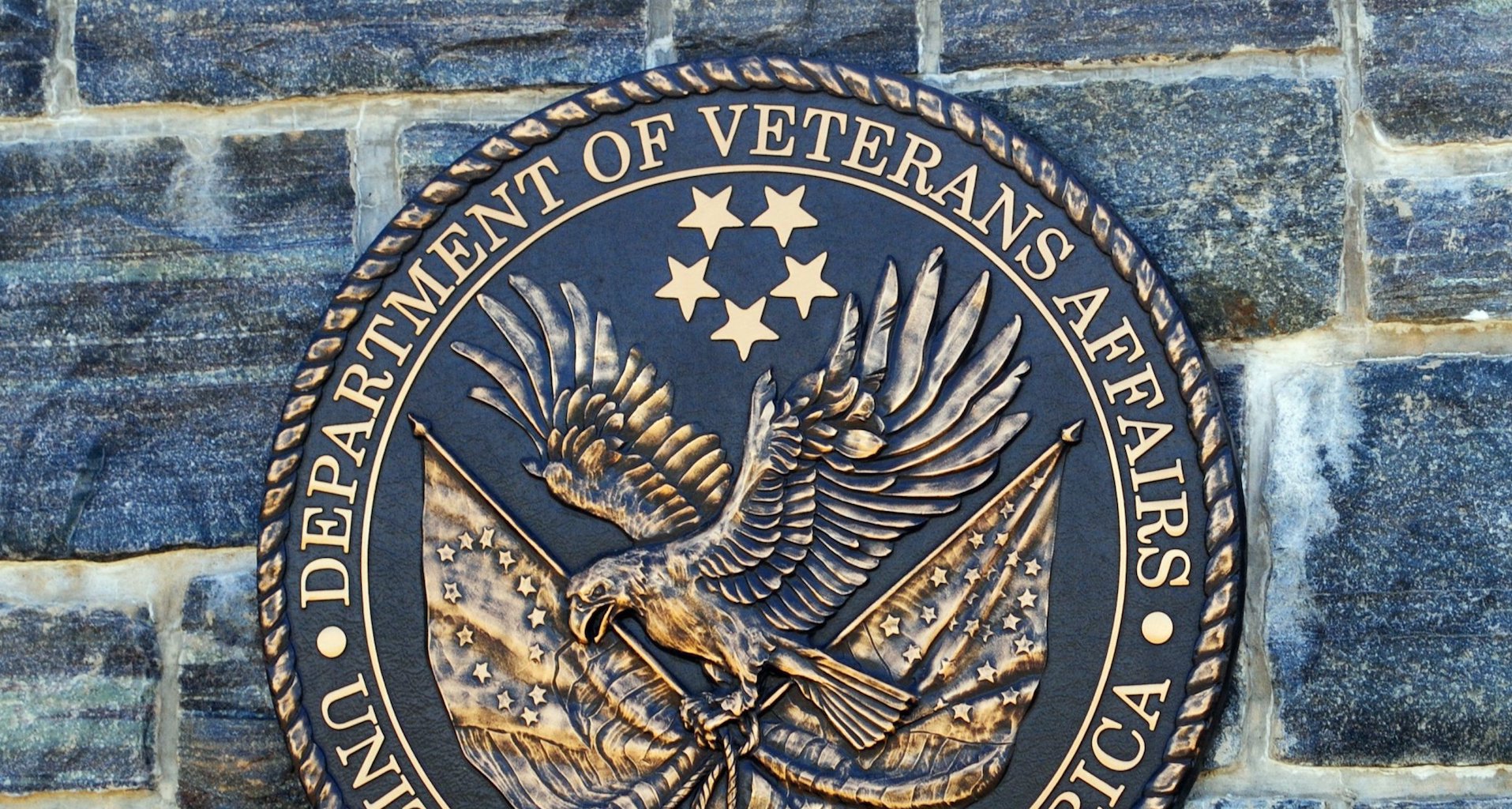 software asset management - VA Software Management Challenges Tied to CIO Vacancy