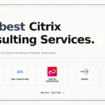 best Citrix consulting services